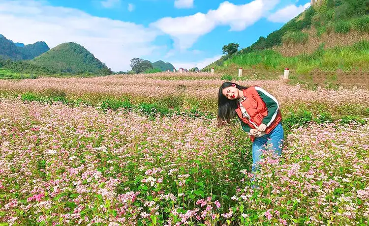 ảnh đẹp du lịch hà giang ảnh đẹp du lịch hà giang