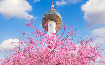 Tour du lịch Hàn Quốc 5 ngày 4 đêm