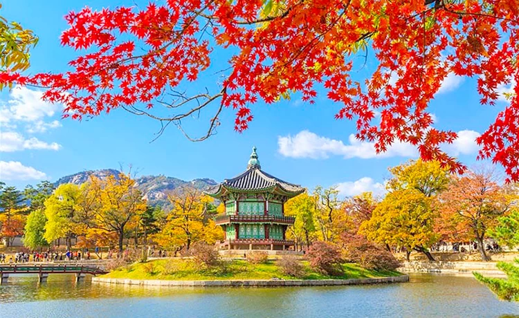 Tour du lịch Hàn Quốc 5 ngày 4 đêm