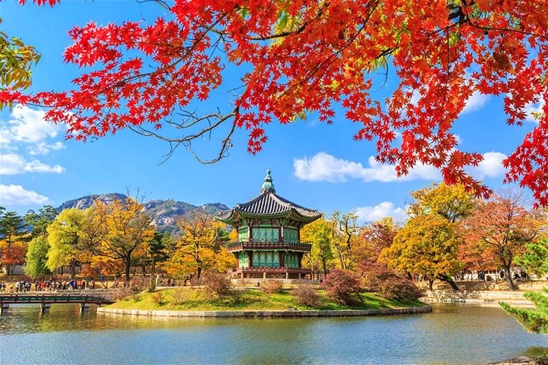 Tour du lịch Hàn Quốc 5 ngày 4 đêm