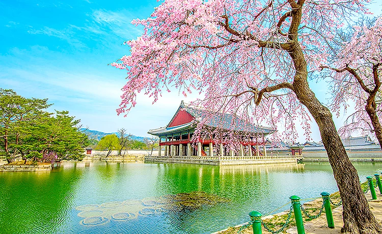 Tour du lịch Hàn Quốc 6 ngày 5 đêm