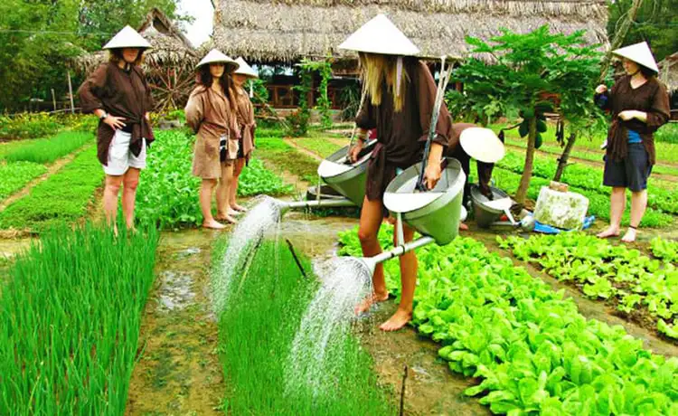 tour du lịch Hội An