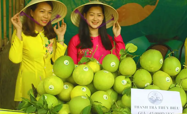 tour du lịch Huế