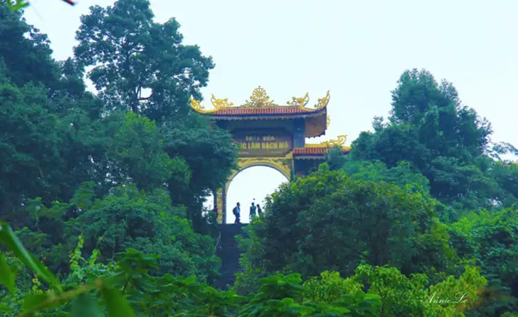 tour du lịch Huế