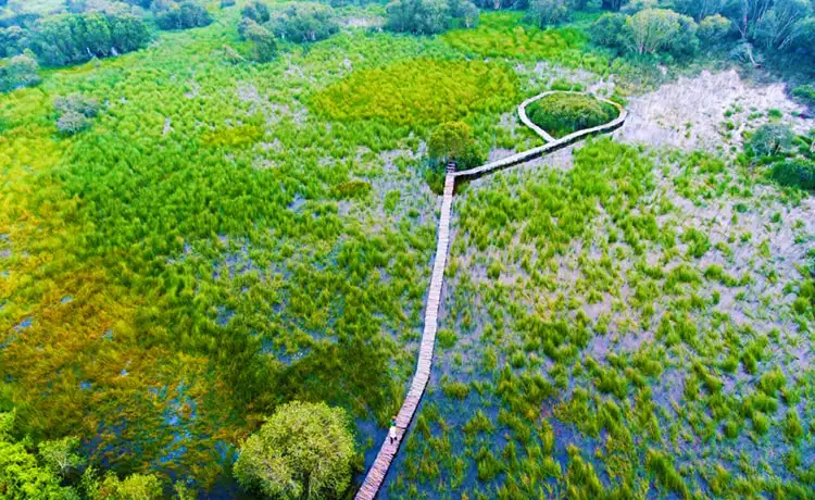 tour du lịch Long An