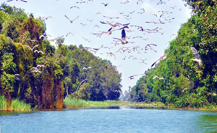 tour du lịch Long An