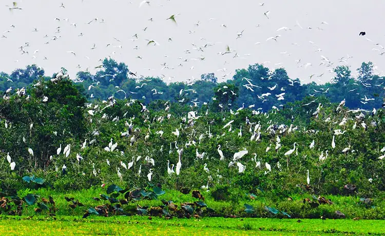 tour du lịch Long An