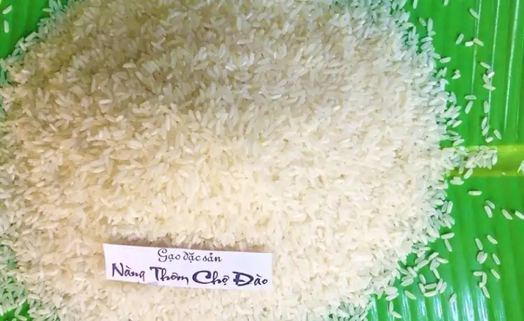 tour du lịch Long An