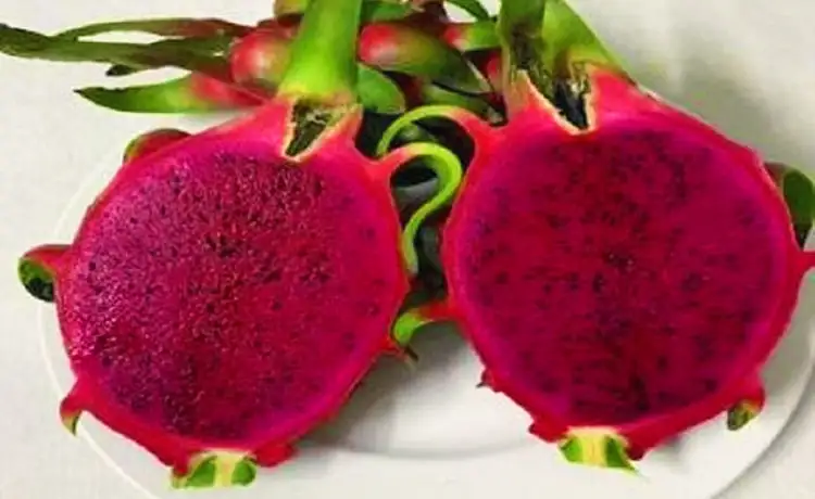 tour du lịch Long An