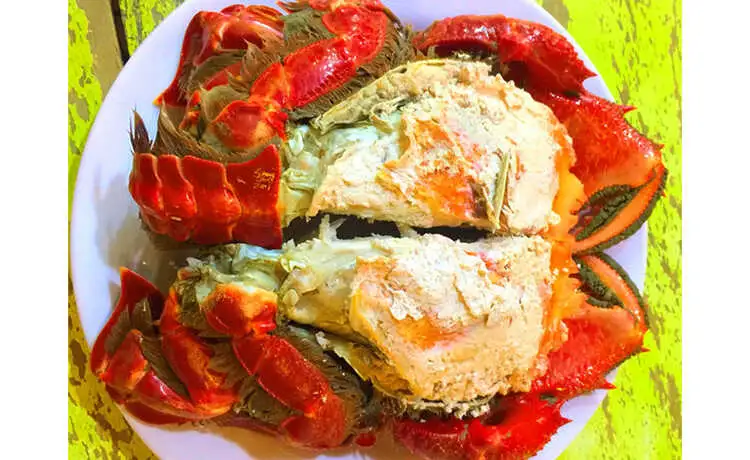 tour du lịch Lý Sơn tour du lịch Lý Sơn