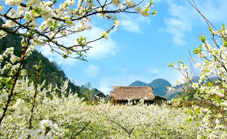 ảnh đẹp du lịch mai châu