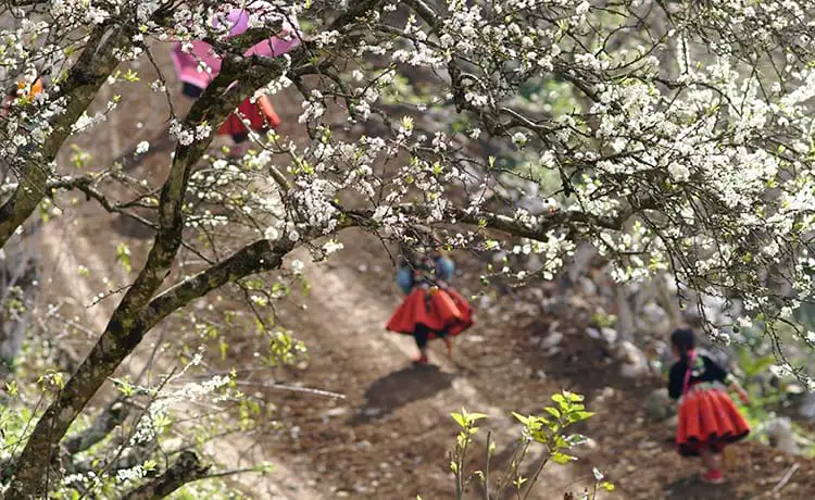 ảnh đẹp du lịch mai châu