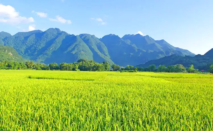 ảnh đẹp du lịch mai châu