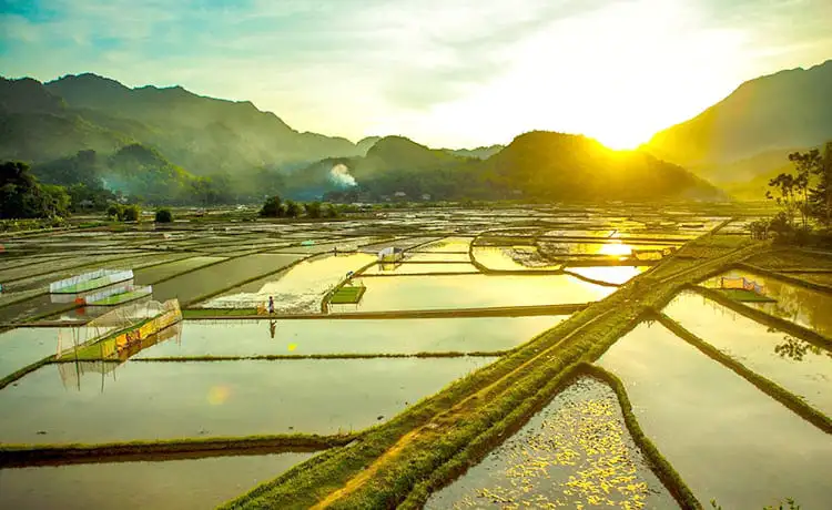 tour mai châu mộc châu 2 ngày 1 đêm tour mai châu mộc châu 2 ngày 1 đêm