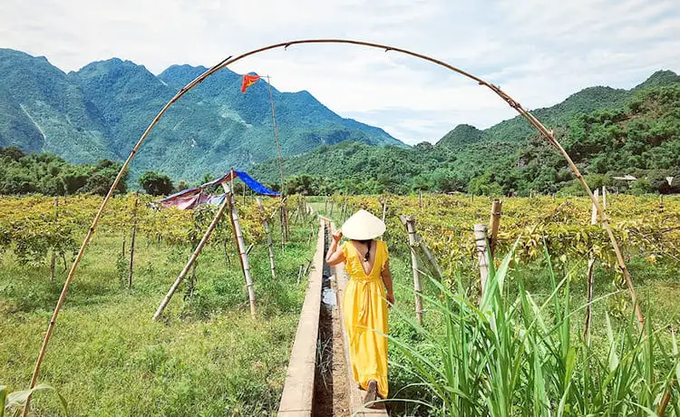 ảnh đẹp du lịch mai châu