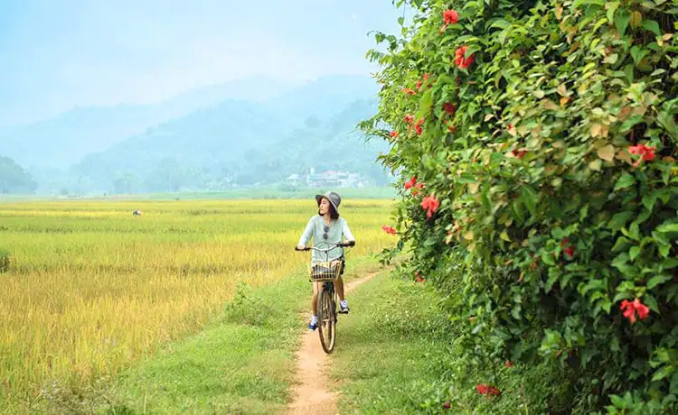 tour du lịch Mai Châu tour du lịch Mai Châu