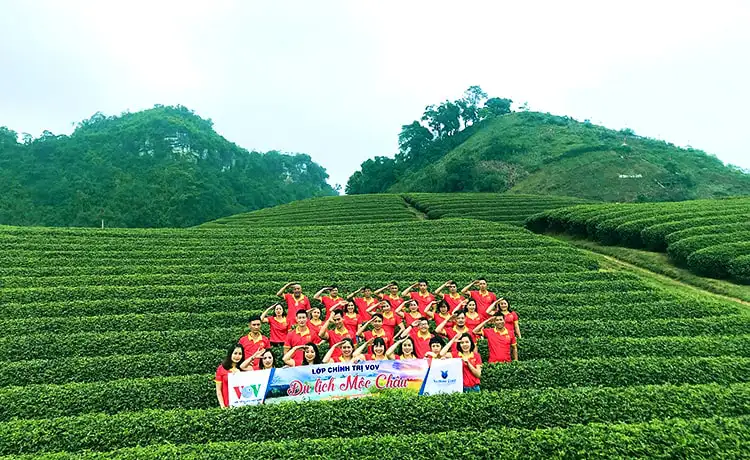 Đồi chè Mộc Châu