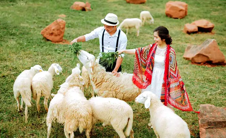 tour mai châu mộc châu 2 ngày 1 đêm tour mai châu mộc châu 2 ngày 1 đêm