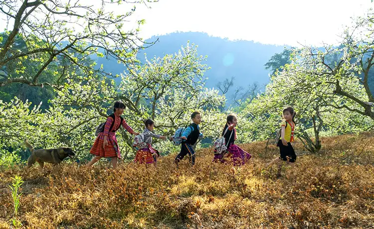 ảnh đẹp du lịch mộc châu