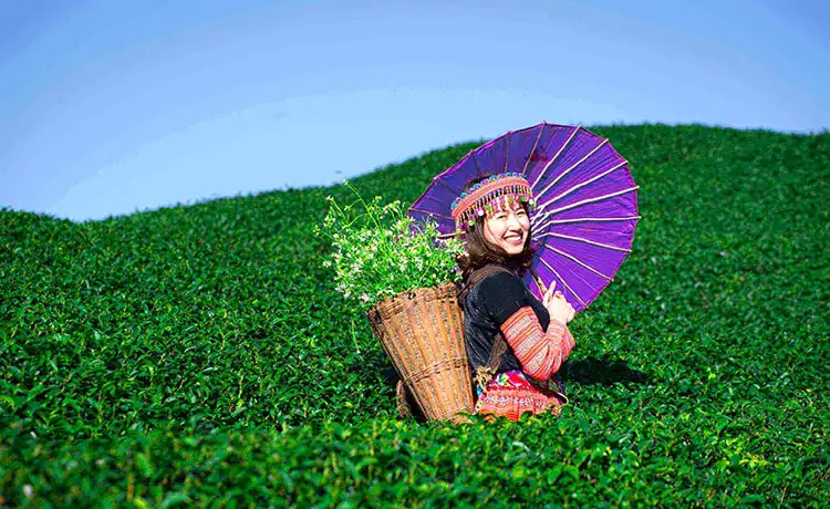 ảnh đẹp du lịch mộc châu