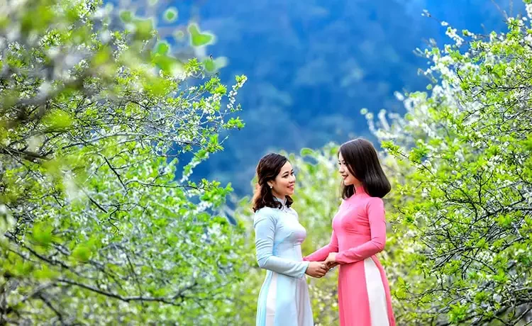 Tour du lịch Mai Châu - Mộc Châu 2 ngày 1 đêm Tour du lịch Mai Châu - Mộc Châu 2 ngày 1 đêm