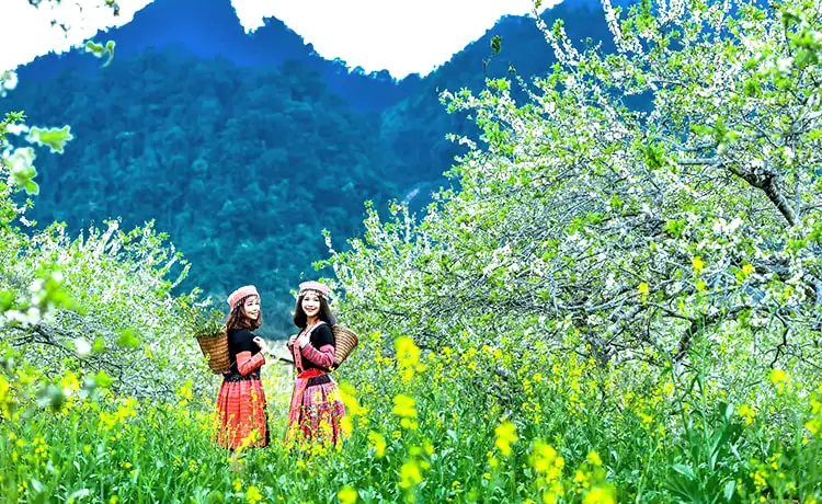 ảnh đẹp du lịch mộc châu