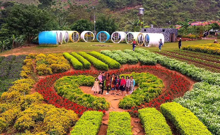 tour mai châu mộc châu 2 ngày 1 đêm tour mai châu mộc châu 2 ngày 1 đêm