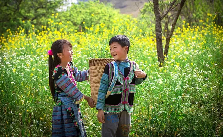 Tour du lịch Mộc Châu - Mai Châu - Pù Luông 3 ngày 2 đêm Tour du lịch Mộc Châu - Mai Châu - Pù Luông 3 ngày 2 đêm