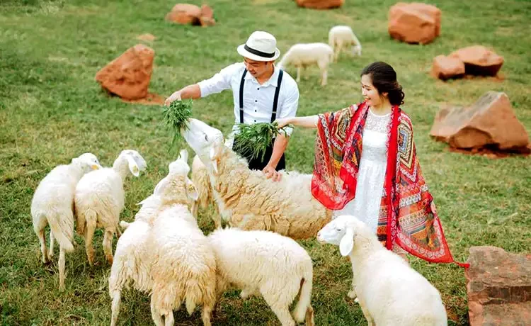 Tour du lịch Mộc Châu - Mai Châu - Pù Luông 3 ngày 2 đêm