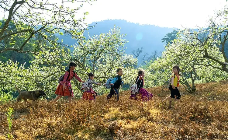 Tour du lịch Mộc Châu - Mai Châu - Pù Luông 3 ngày 2 đêm