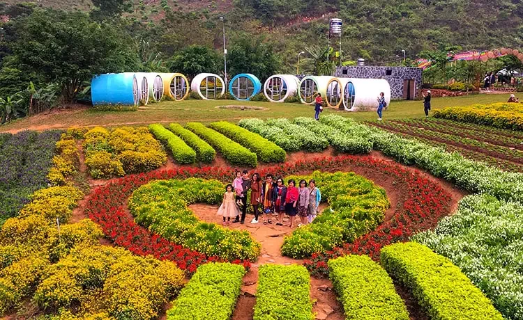 Tour du lịch Mộc Châu - Mai Châu - Thung Nai 3 ngày 2 đêm