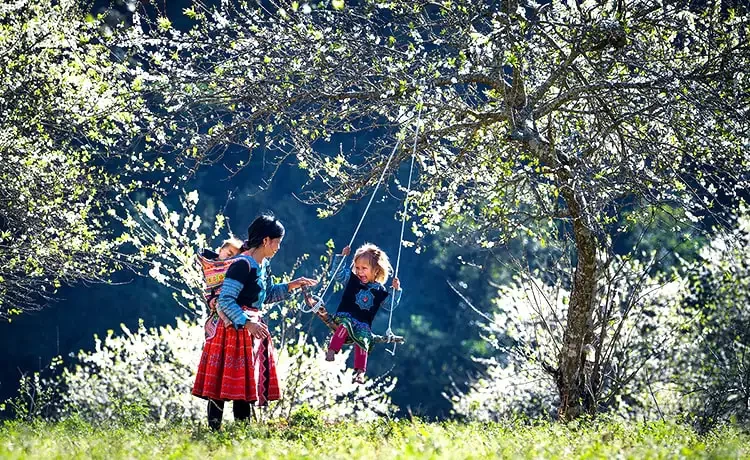 Tour du lịch Mộc Châu - Mai Châu - Thung Nai 3 ngày 2 đêm