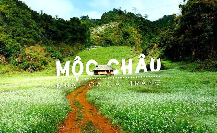 Tour du lịch Mộc Châu - Mai Châu - Thung Nai 3 ngày 2 đêm