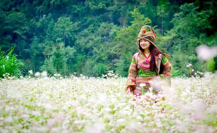 Tour du lịch Hà Nội - Hà Giang - Cao Bằng 6 ngày 5 đêm Tour du lịch Hà Nội - Hà Giang - Cao Bằng 6 ngày 5 đêm