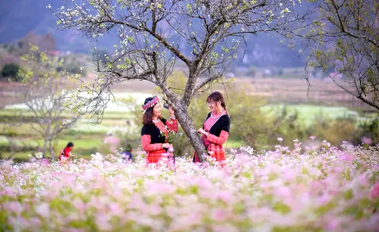 du lịch mộc châu