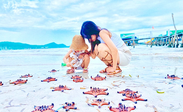 Tour Nam Du - Phú Quốc 3 ngày 2 đêm (3N2D) Tour Nam Du - Phú Quốc 3 ngày 2 đêm (3N2D)