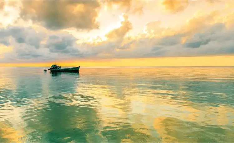 Tour du lịch Nam Du 1 ngày Câu cá - Lặn ngắm san hô