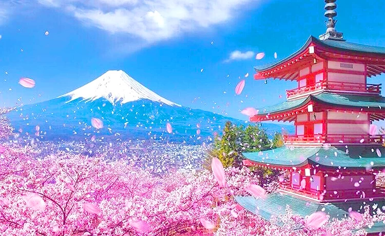 Tour du lịch Nhật Bản được biết đến là hành trình khám phá văn hóa và thưởng ngoạn cái đẹp tuyệt vời của xứ sở hoa anh đào. Du khách sẽ được tham quan các địa danh nổi tiếng, trải nghiệm ẩm thực, tận hưởng mùa hoa anh đào tuyệt đẹp và khám phá các truyền thống đặc biệt của Nhật Bản. Hãy xem hình ảnh để khám phá điều gì đang chờ đón bạn tại Nhật Bản.