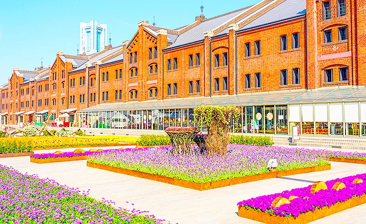 Tour du lịch Nhật Bản 5 ngày 4 đêm