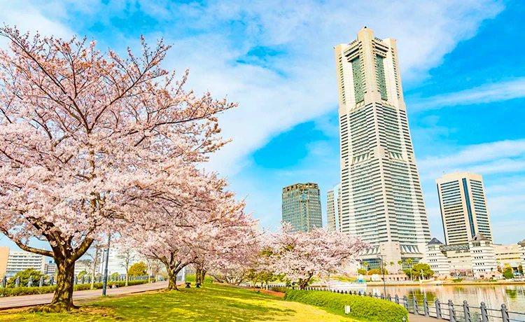 tour du lịch nhật bản 4 ngày 3 đêm