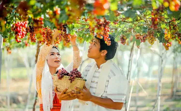 Tour du lịch Ninh Thuận 2 ngày 1 đêm