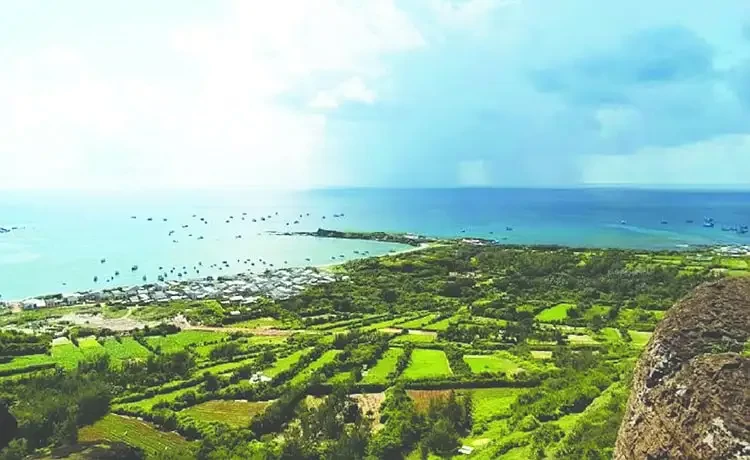 Tour du lịch Ninh Thuận 2 ngày 1 đêm