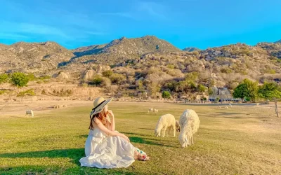 Tour du lịch Ninh Thuận 3 ngày 2 đêm