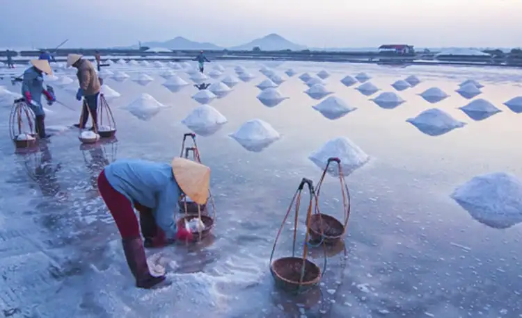 tour du lịch Ninh Thuận