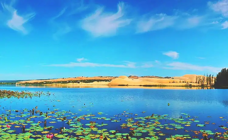 tour du lịch Phan Thiết