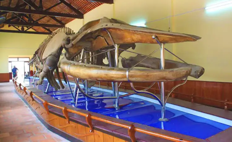 tour du lịch Phan Thiết