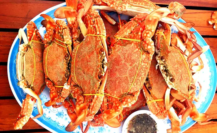 làng chài hàm ninh phú quốc làng chài hàm ninh phú quốc