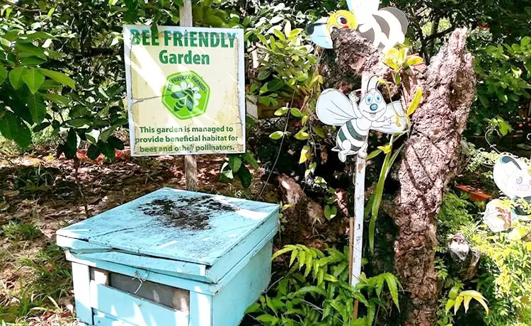 trại ong mật đảo phú quốc