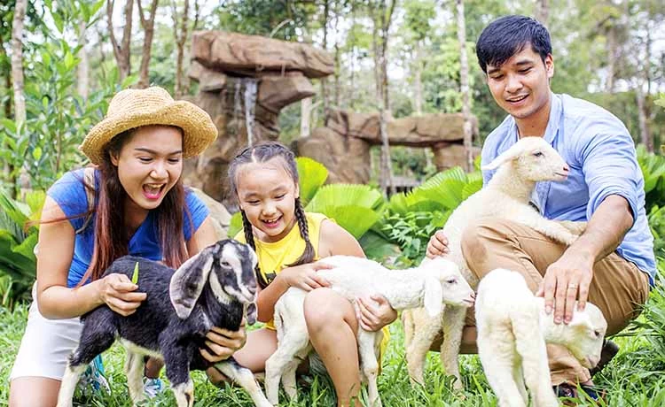 Tour du lịch Phú Quốc 2 ngày 1 đêm (2N1D)