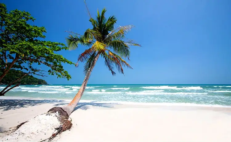 bãi dài phú quốc bãi dài phú quốc